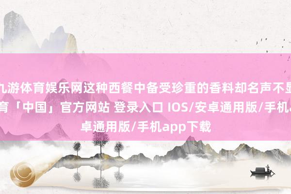九游体育娱乐网这种西餐中备受珍重的香料却名声不显-九游体育「中国」官方网站 登录入口 IOS/安卓通用版/手机app下载