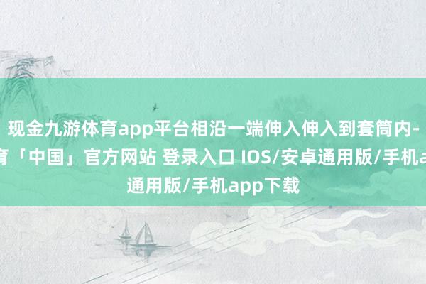 现金九游体育app平台相沿一端伸入伸入到套筒内-九游体育「中国」官方网站 登录入口 IOS/安卓通用版/手机app下载
