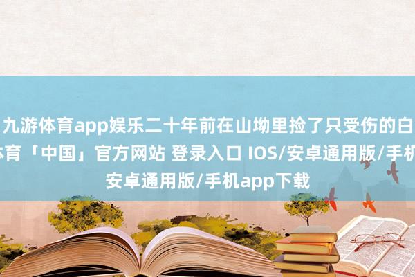 九游体育app娱乐二十年前在山坳里捡了只受伤的白狐-九游体育「中国」官方网站 登录入口 IOS/安卓通用版/手机app下载
