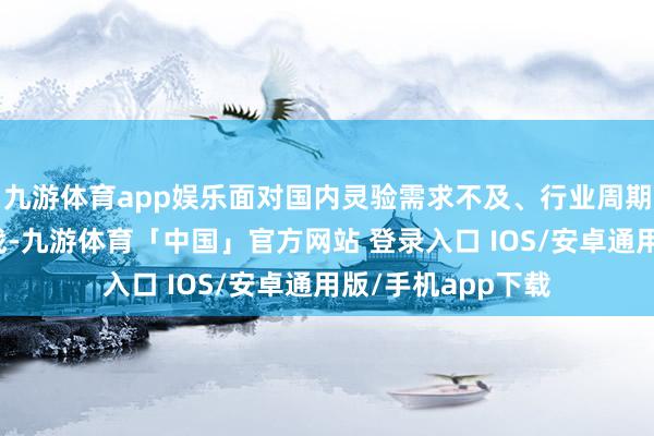 九游体育app娱乐面对国内灵验需求不及、行业周期性转念等多重挑战-九游体育「中国」官方网站 登录入口 IOS/安卓通用版/手机app下载